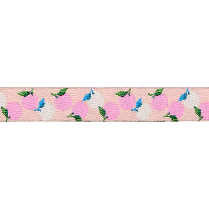 Best Day - Oranges in Peach 7/8" - by Melody Miller - One Yard