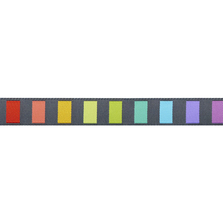 Graywork - Disco Stripe in Carbon - 5/8" width - by Tula Pink - One Yard