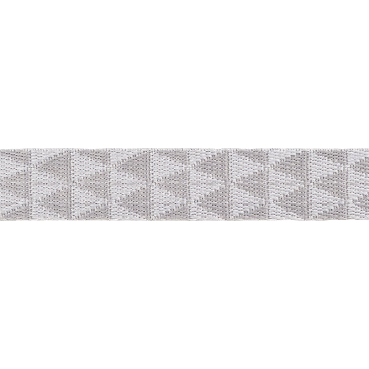 Graywork - Kinda Shady in Whisper WEBBING - 1" width - by Tula Pink - One Yard