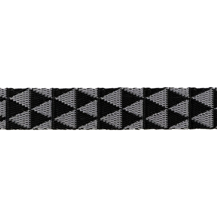 Graywork - Kinda Shady in Carbon WEBBING - 1" width - by Tula Pink - One Yard