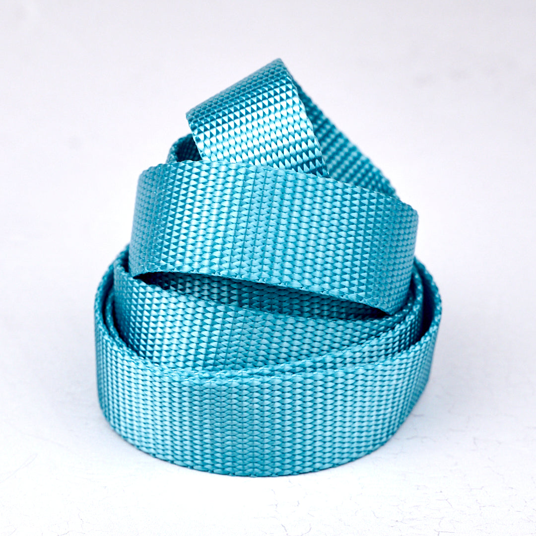 Nylon Heavyweight Webbing in Ocean Blue - 1" width - One Yard