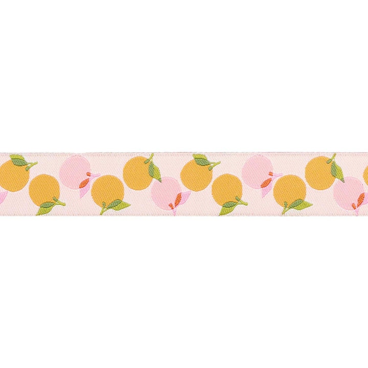 Best Day - Oranges in Natural 7/8"  - by Melody Miller - One Yard