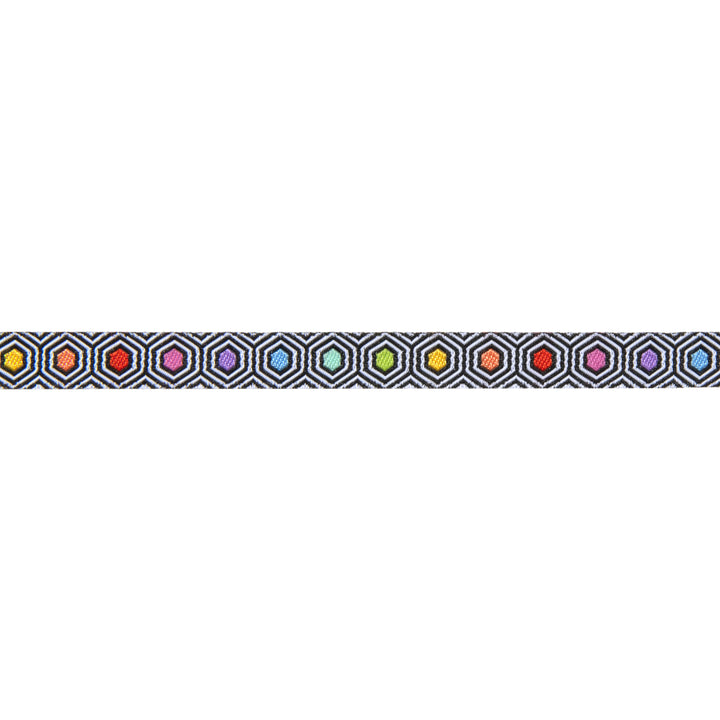 Hexy Rainbow- Tula Pink Linework - 3/8"