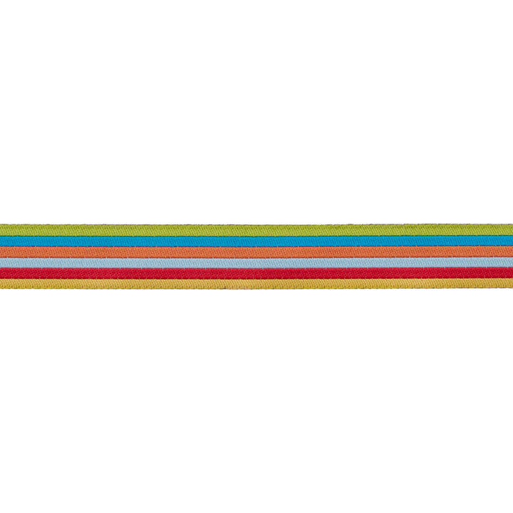 Rainbow Power - 5/8" width - Back to School by Stacy Iest Hsu - One Yard