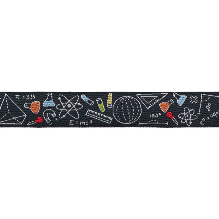 Math 'n Science - 7/8" width - Back to School by Stacy Iest Hsu - One Yard