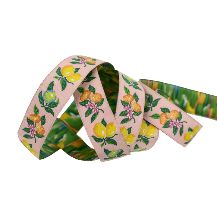 Fresh Squeezed - 3/4" width - La Dolce Vita by Stacy Peterson - One Yard