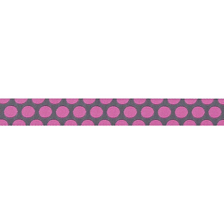 Dinosaur Eggs in Mist - 5/8" width - Tula Pink Roar! - One Yard