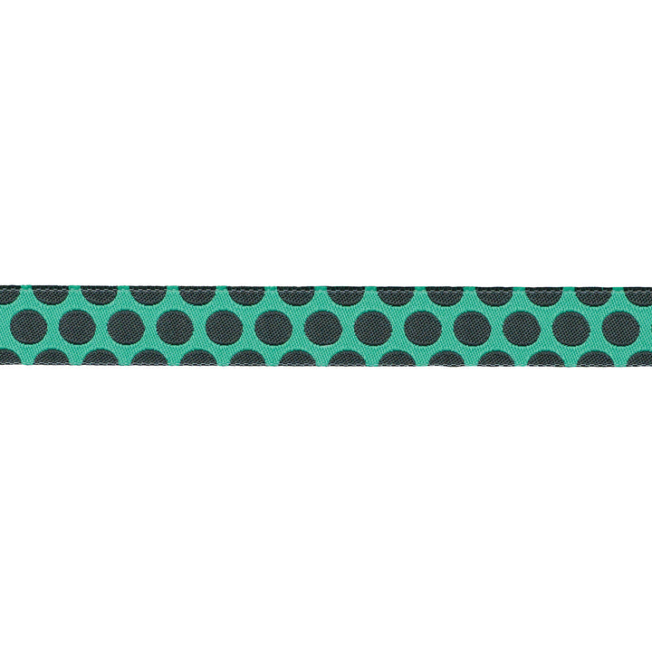 Dinosaur Eggs in Storm - 5/8" width - Tula Pink Roar! - One Yard