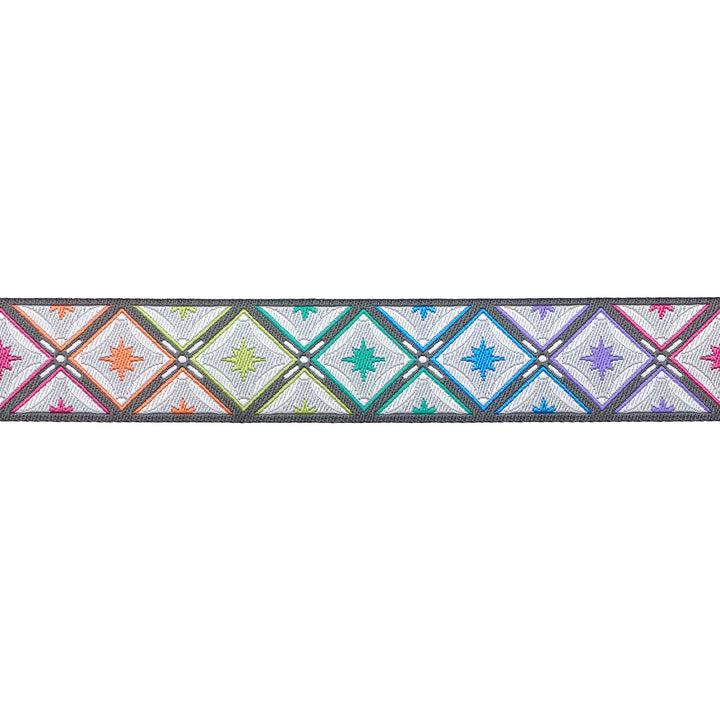 Stargazer in Storm - 7/8" width - Tula Pink Roar! - One Yard