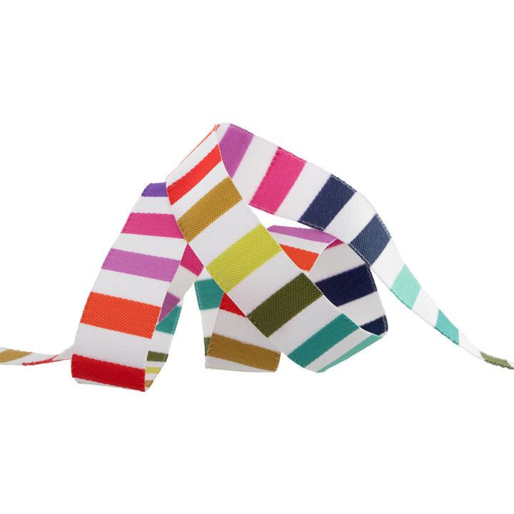 Rainbow Stripe - 5/8" width - Tula Pink Tabby Road - One Yard