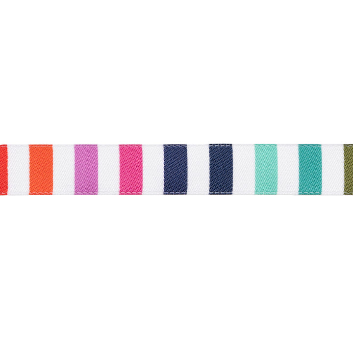 Rainbow Stripe - 5/8" width - Tula Pink Tabby Road - One Yard