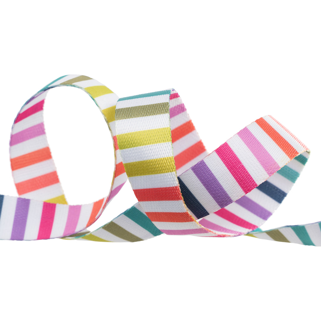 PREORDER - Disco Stripe Webbing - 1" width - Tula Pink Tabby Road - One Yard