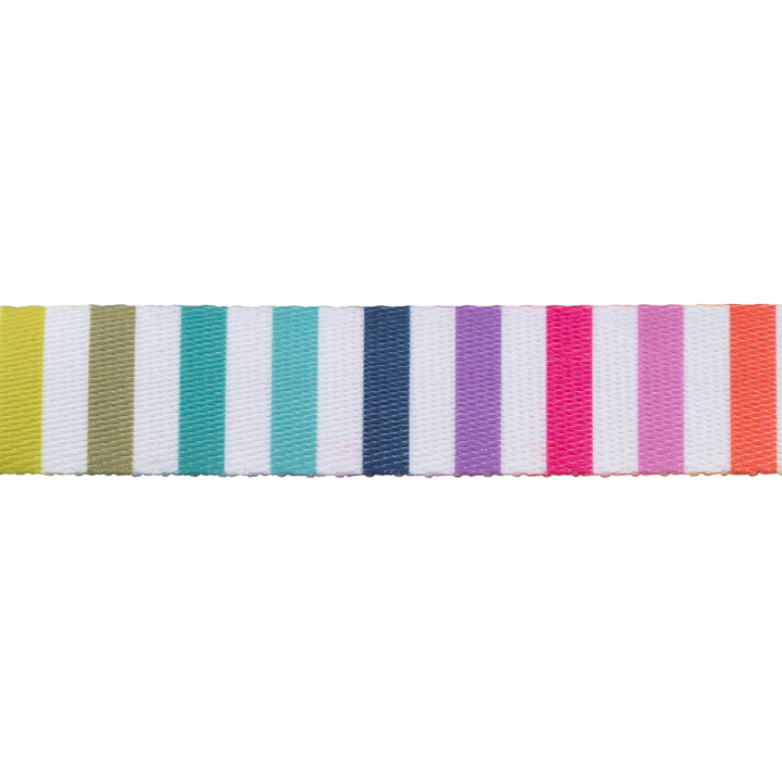 Disco Stripe Webbing - 1" width - Tula Pink Tabby Road - One Yard