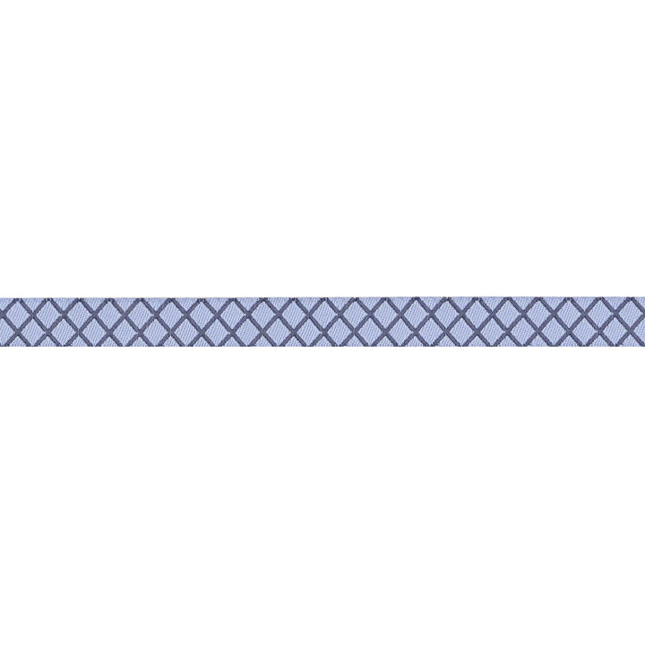 True Colors 2025 - On the Grid in Shoreline - 3/8" width - by Tula Pink - One Yard