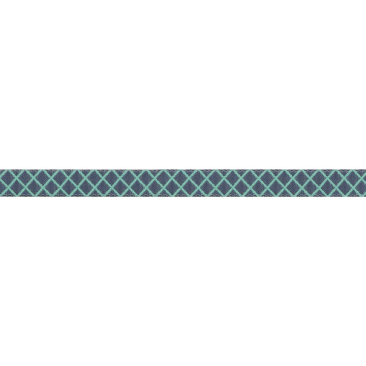 True Colors 2025 - On the Grid in Raindrop - 3/8" width - by Tula Pink - One Yard