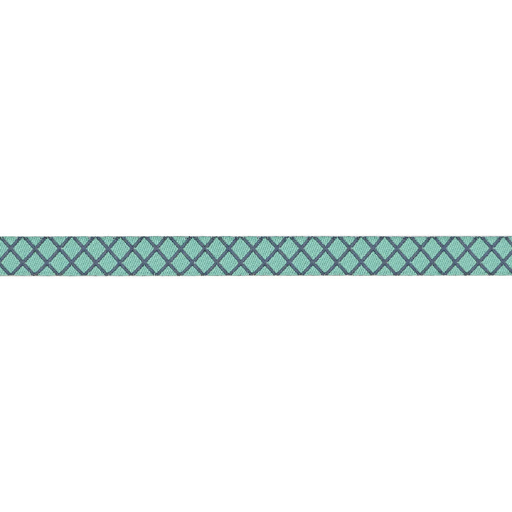 True Colors 2025 - On the Grid in Raindrop - 3/8" width - by Tula Pink - One Yard