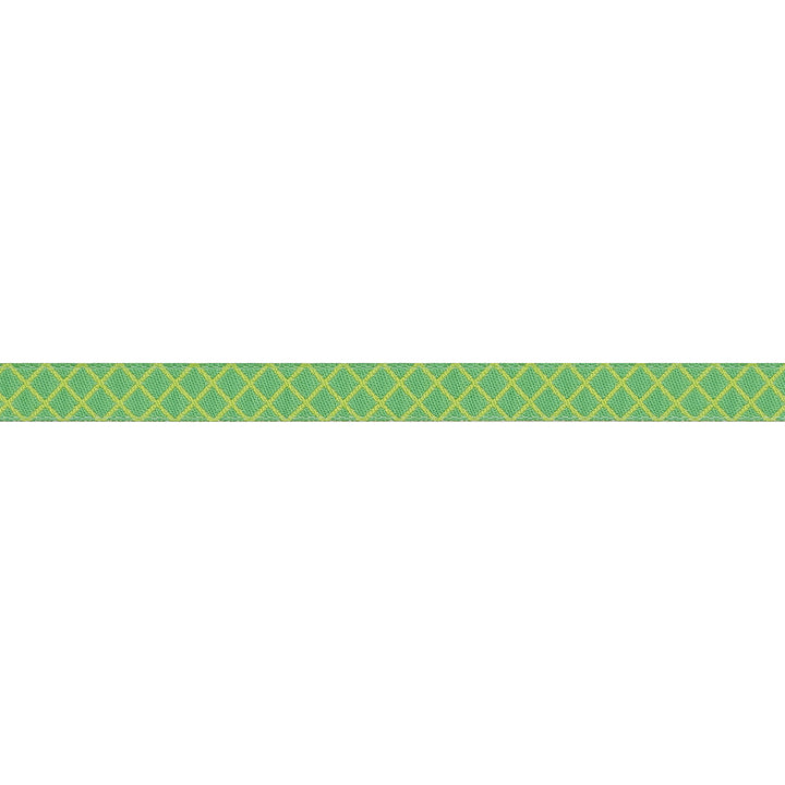 True Colors 2025 - On the Grid in Apple - 3/8" width - by Tula Pink - One Yard