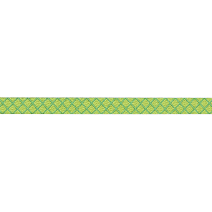 True Colors 2025 - On the Grid in Apple - 3/8" width - by Tula Pink - One Yard