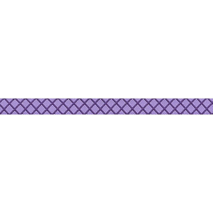 True Colors 2025 - On the Grid in Mysterious - 3/8" width - by Tula Pink - One Yard