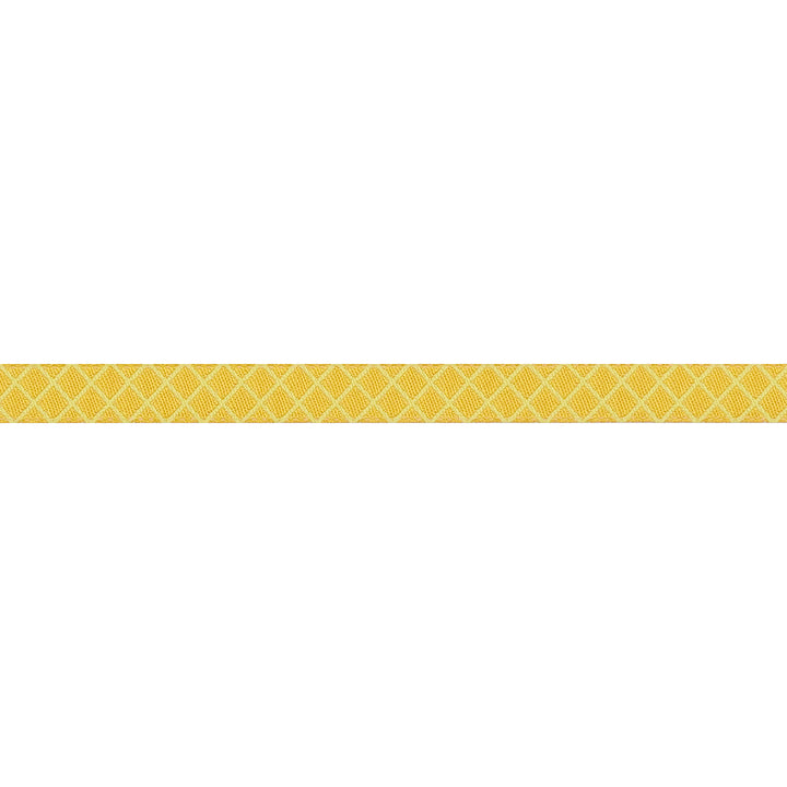 True Colors 2025 - On the Grid in Highlighter - 3/8" width - by Tula Pink - One Yard