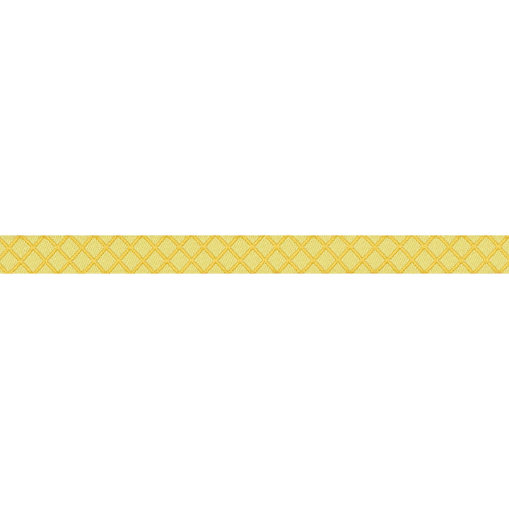True Colors 2025 - On the Grid in Highlighter - 3/8" width - by Tula Pink - One Yard