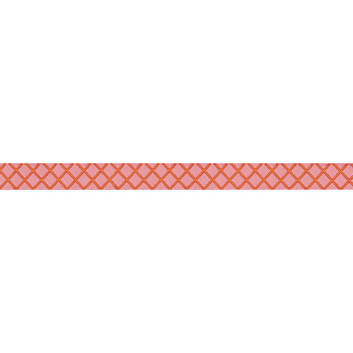 True Colors 2025 - On the Grid in Salmon - 3/8" width - by Tula Pink - One Yard