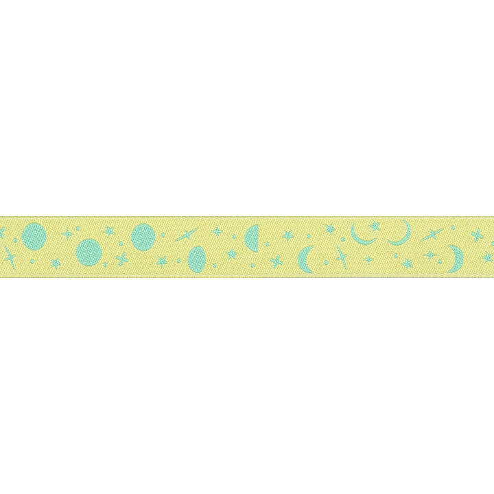 True Colors 2025 - Space Sprinkles in Sea Glass - 5/8" width - by Tula Pink - One Yard