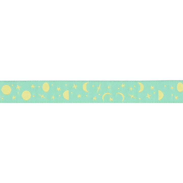 True Colors 2025 - Space Sprinkles in Sea Glass - 5/8" width - by Tula Pink - One Yard