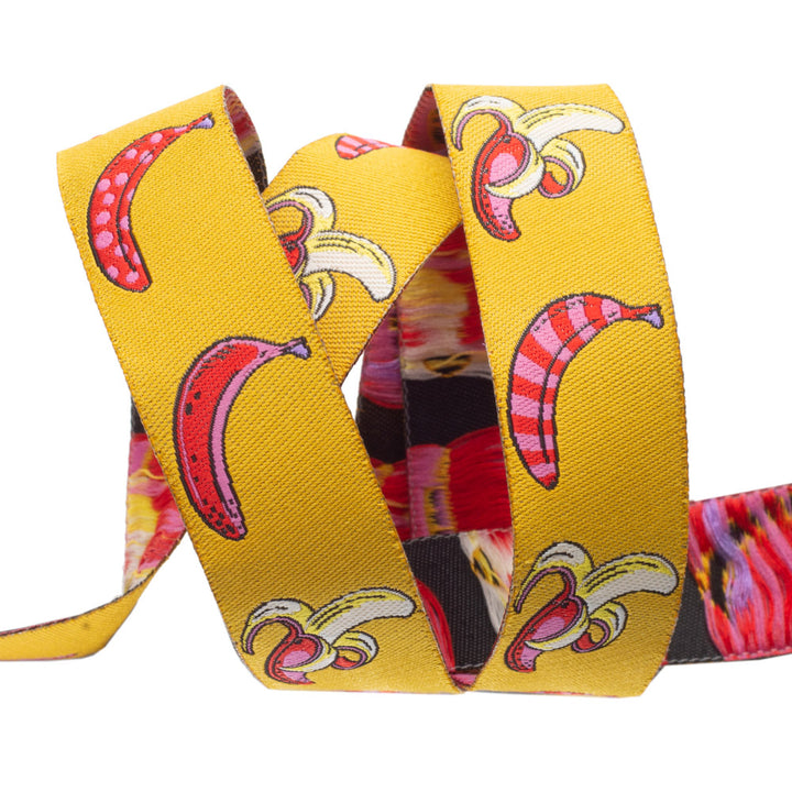 Don't Slip in Mango - 7/8" width - by Tula Pink - One Yard