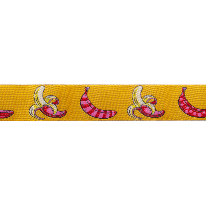 Don't Slip in Mango - 7/8" width - by Tula Pink - One Yard