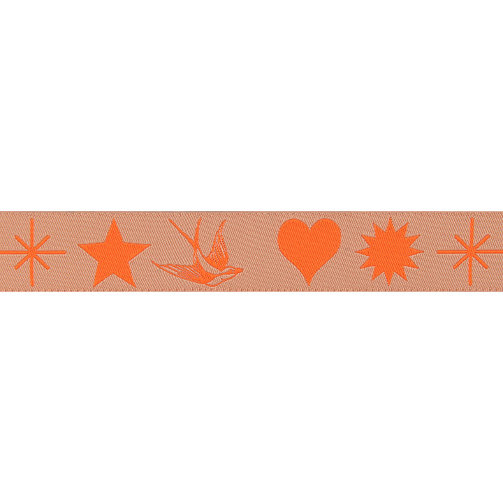 Fairy Flakes in Lunar/Orange - 7/8" width - Tula Pink EverGlow - by the yd