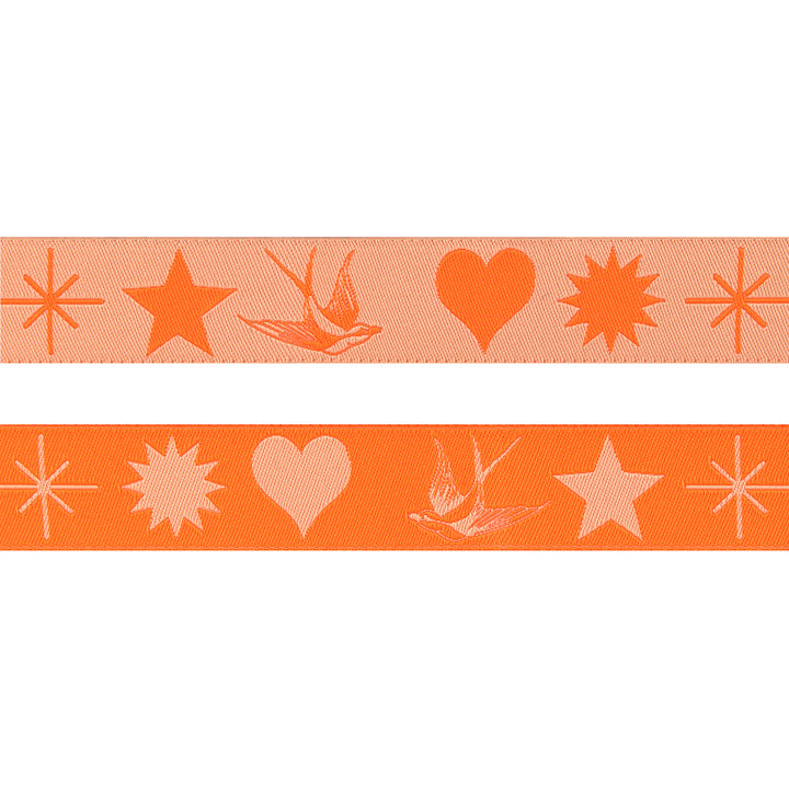 Fairy Flakes in Lunar/Orange - 7/8" width - Tula Pink EverGlow - by the yd