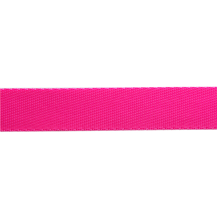 Cosmic/Pink - 1" Nylon Webbing - by Tula Pink - One Yard