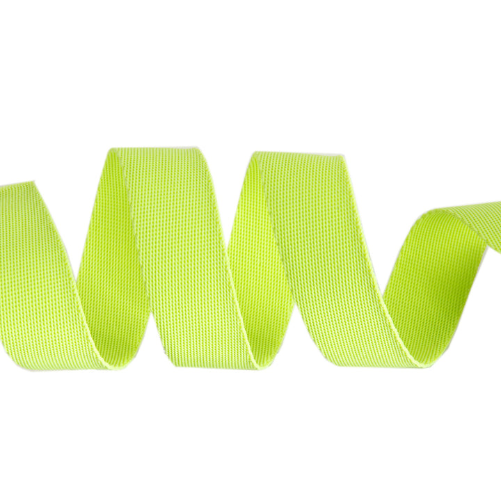 MoonBeam/Neon - 1" Nylon Webbing - by Tula Pink - One Yard