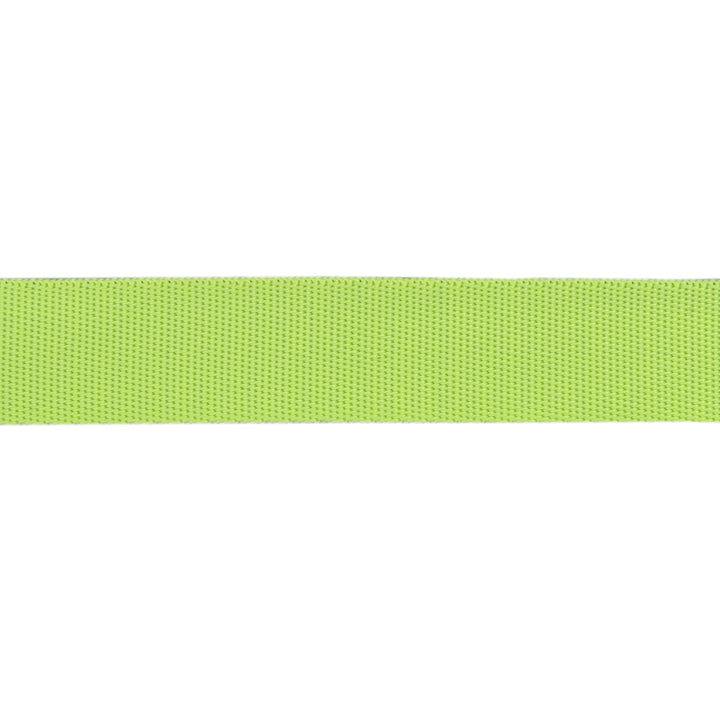 MoonBeam/Neon - 1" Nylon Webbing - by Tula Pink - One Yard
