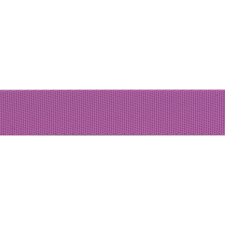 Mystic/Purple - 1" Nylon Webbing - by Tula Pink - One Yard