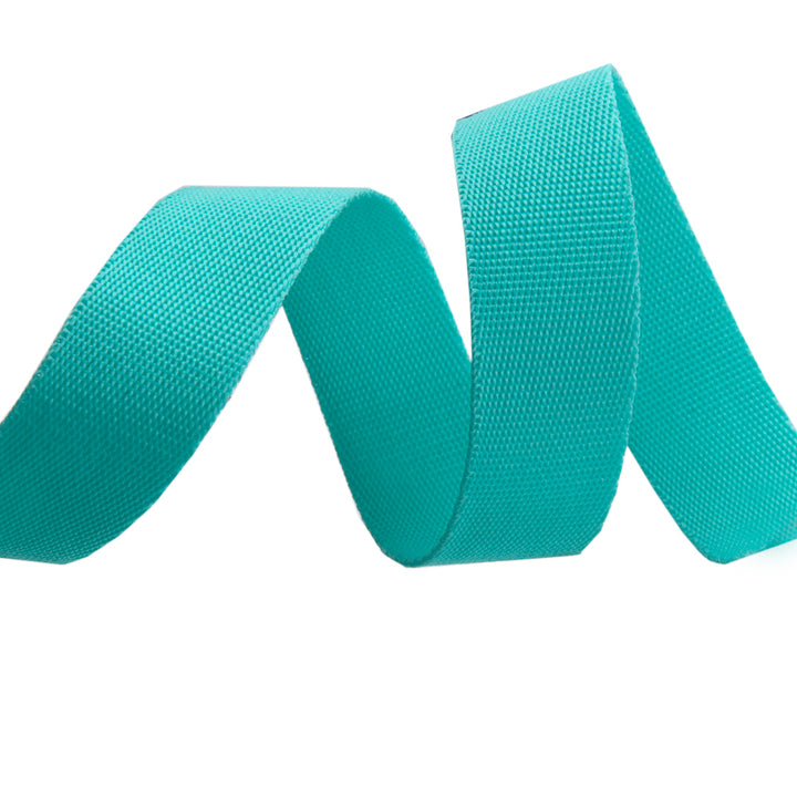 Spirit/Teal - 1" Nylon Webbing - by Tula Pink - One Yard