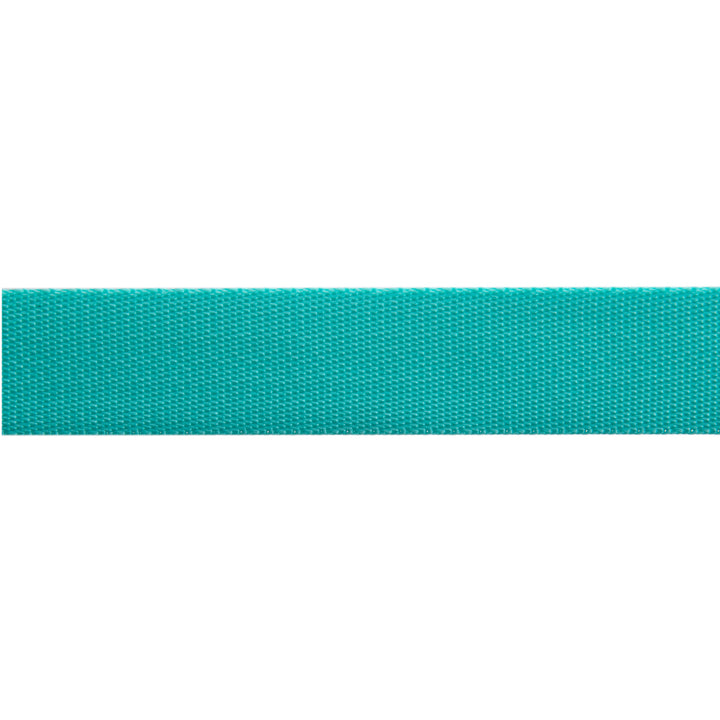 Spirit/Teal - 1" Nylon Webbing - by Tula Pink - One Yard