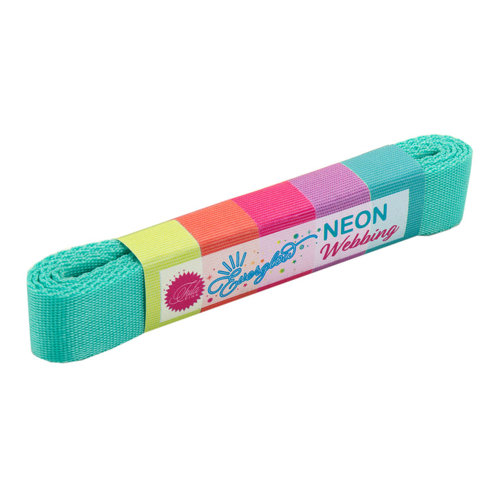 2yd Spirit/Teal - 1" Nylon Webbing - by Tula Pink