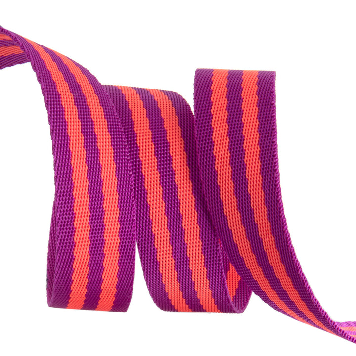Watermelon/Plum - 1" wide Nylon Webbing - by Tula Pink - 1 Yard