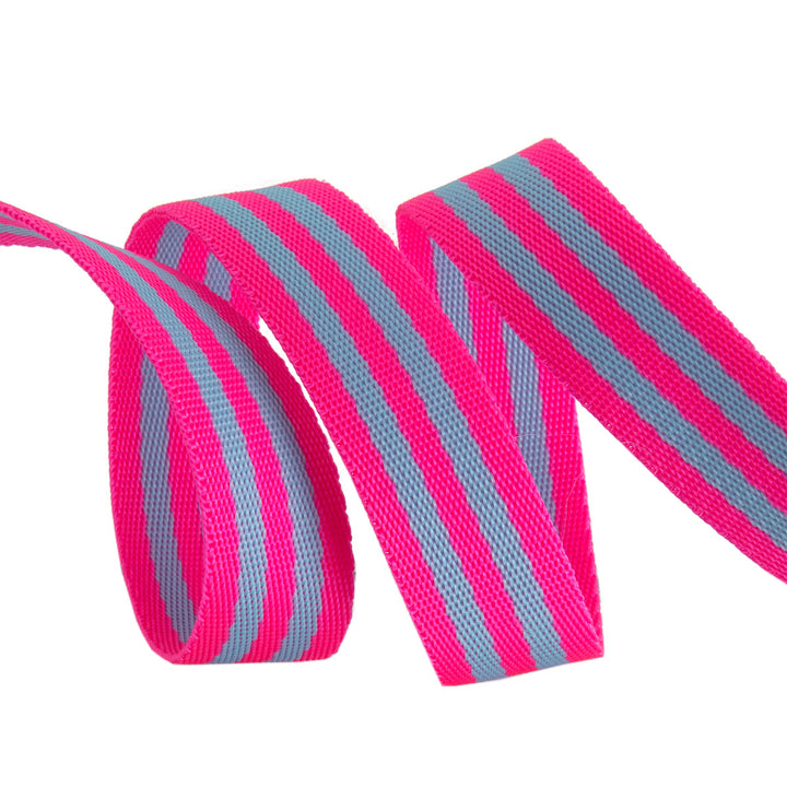 Aqua/Hot Pink - 1" wide Nylon Webbing - by Tula Pink - 1 Yard