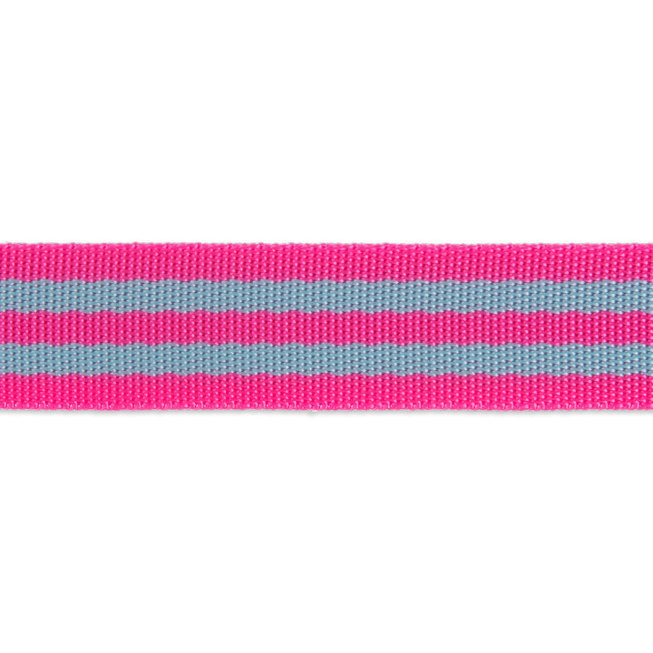 Aqua/Hot Pink - 1" wide Nylon Webbing - by Tula Pink - 1 Yard