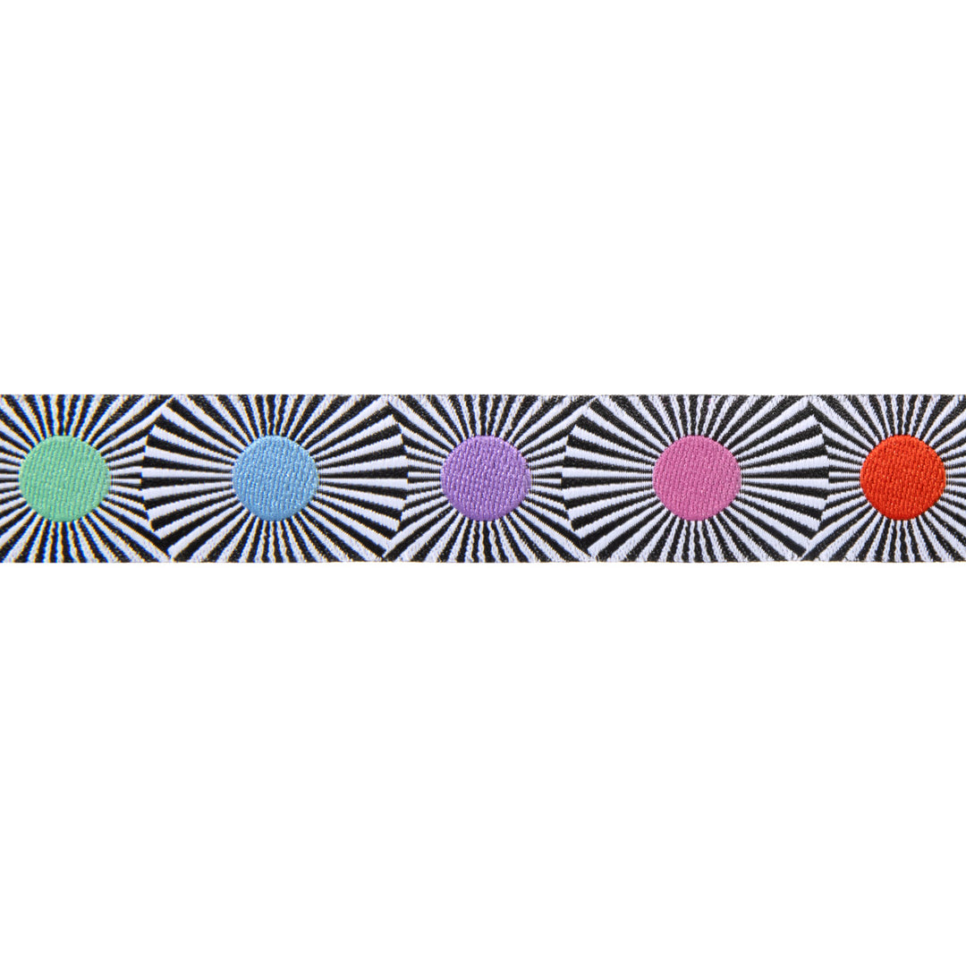 Narrow Multi Dots - Tula Pink Linework - 7/8" by yd