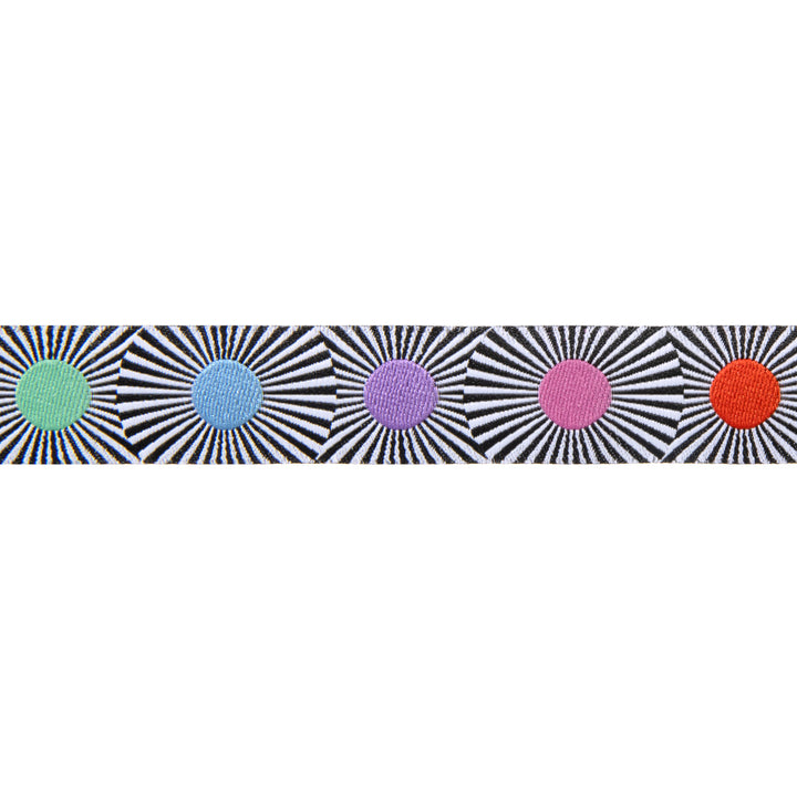 Narrow Multi Dots - Tula Pink Linework - 7/8" by yd