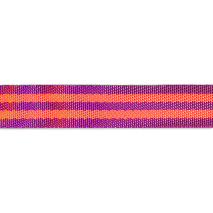 2yd Watermelon/Plum - 1" Nylon Webbing - by Tula Pink