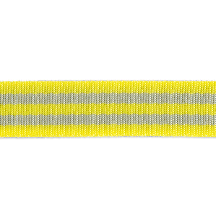 2yd Grey/Neon Yellow - 1" Nylon Webbing - by Tula Pink