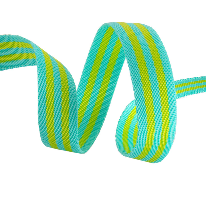 2yd Lime/Turquoise - 1" Nylon Webbing - by Tula Pink