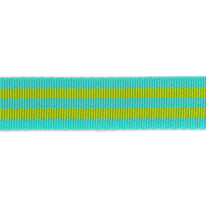 2yd Lime/Turquoise - 1" Nylon Webbing - by Tula Pink