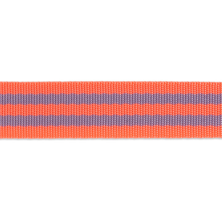 2yd Lavender/Pink - 1" Nylon Webbing - by Tula Pink
