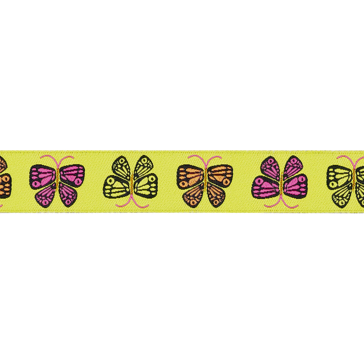 PREORDER - Ooh Lucky Lucky - Butterfly - 7/8" width - by Alexia Abegg - One Yard